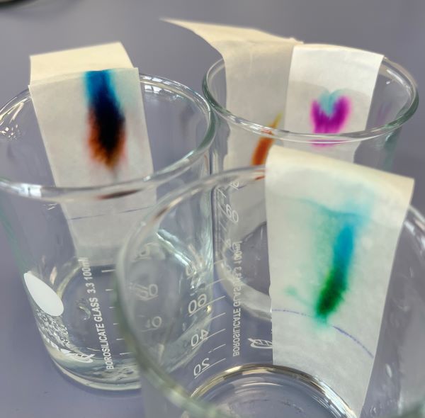 Coloured smears on paper in beakers